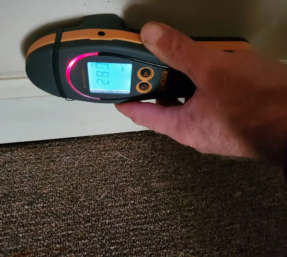 Moisture detection at baseboard during Sewage Cleanup & Sanitation in Peoria